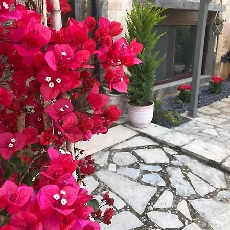 Paradise Myrto Kalamata